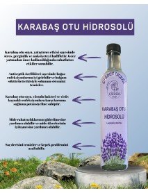 KARABAŞ OTU SİRKESİ